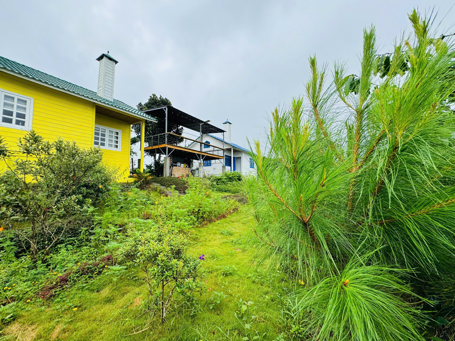 Sân vườn và hoa tại Tà Đùng Villa